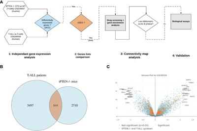 New Drug Repositioning Candidates for T-ALL Identified Via Human/Murine Gene Signature Comparison